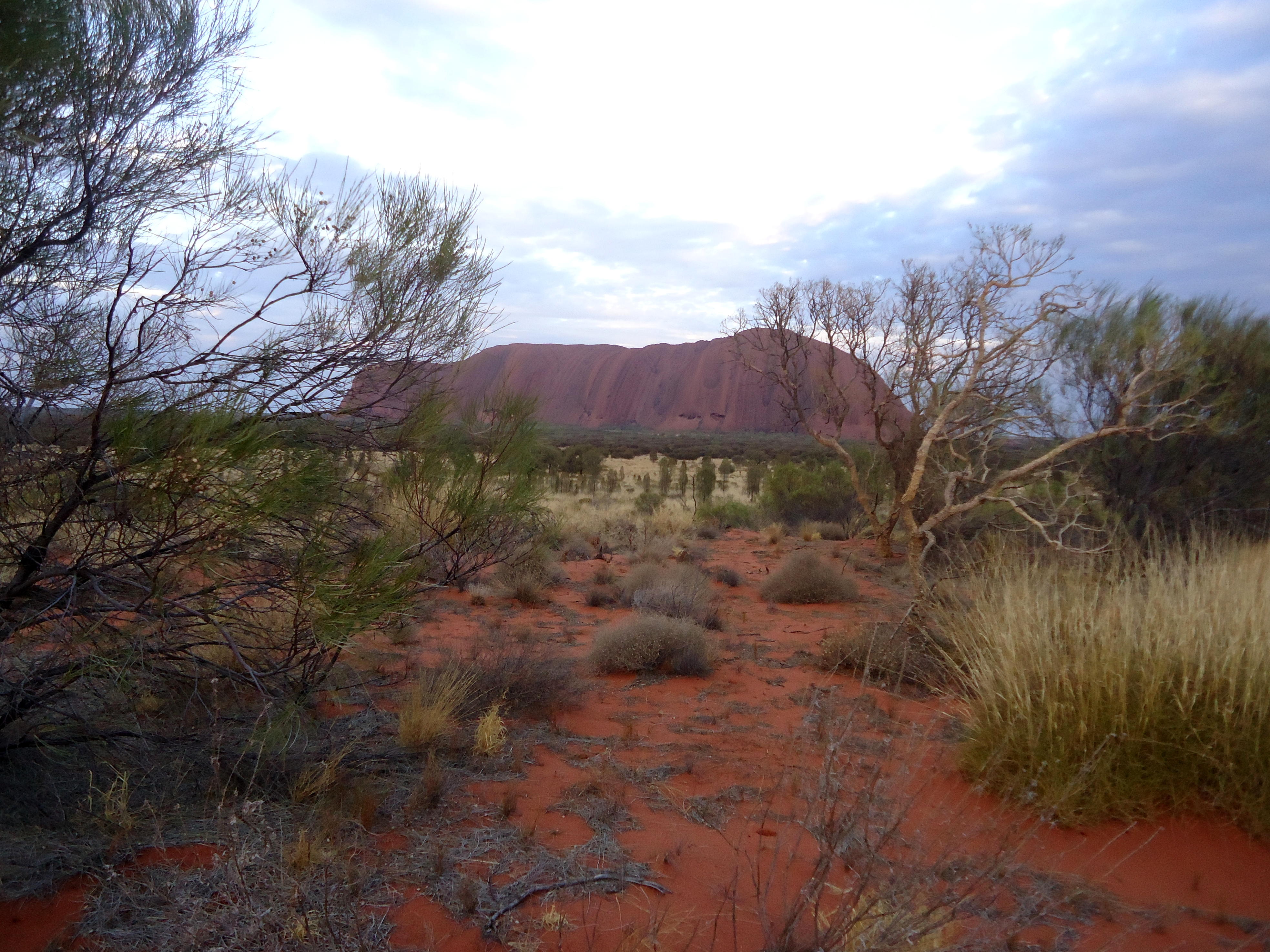 Australia 2012 new 7.JPG