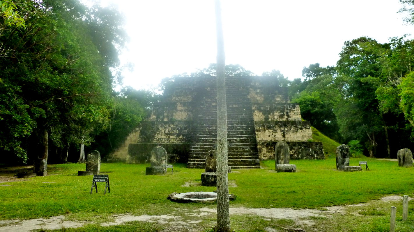 tikal 8