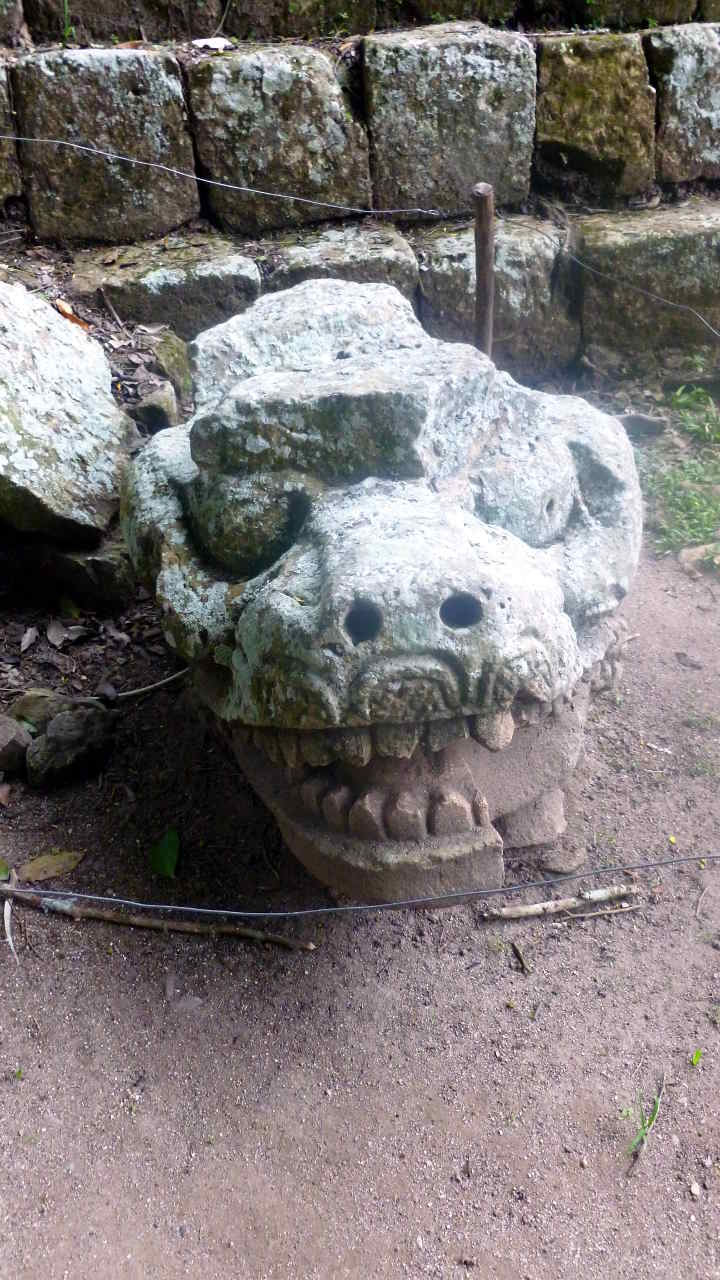 copan 1