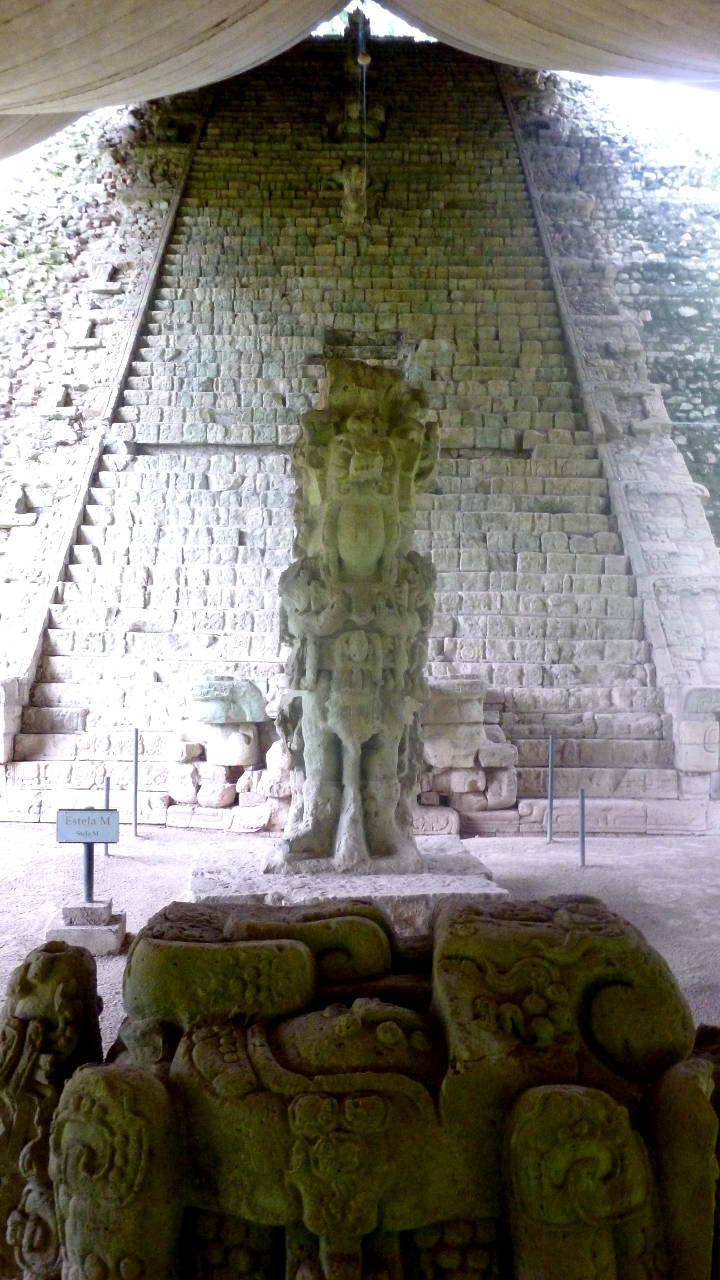 copan 10