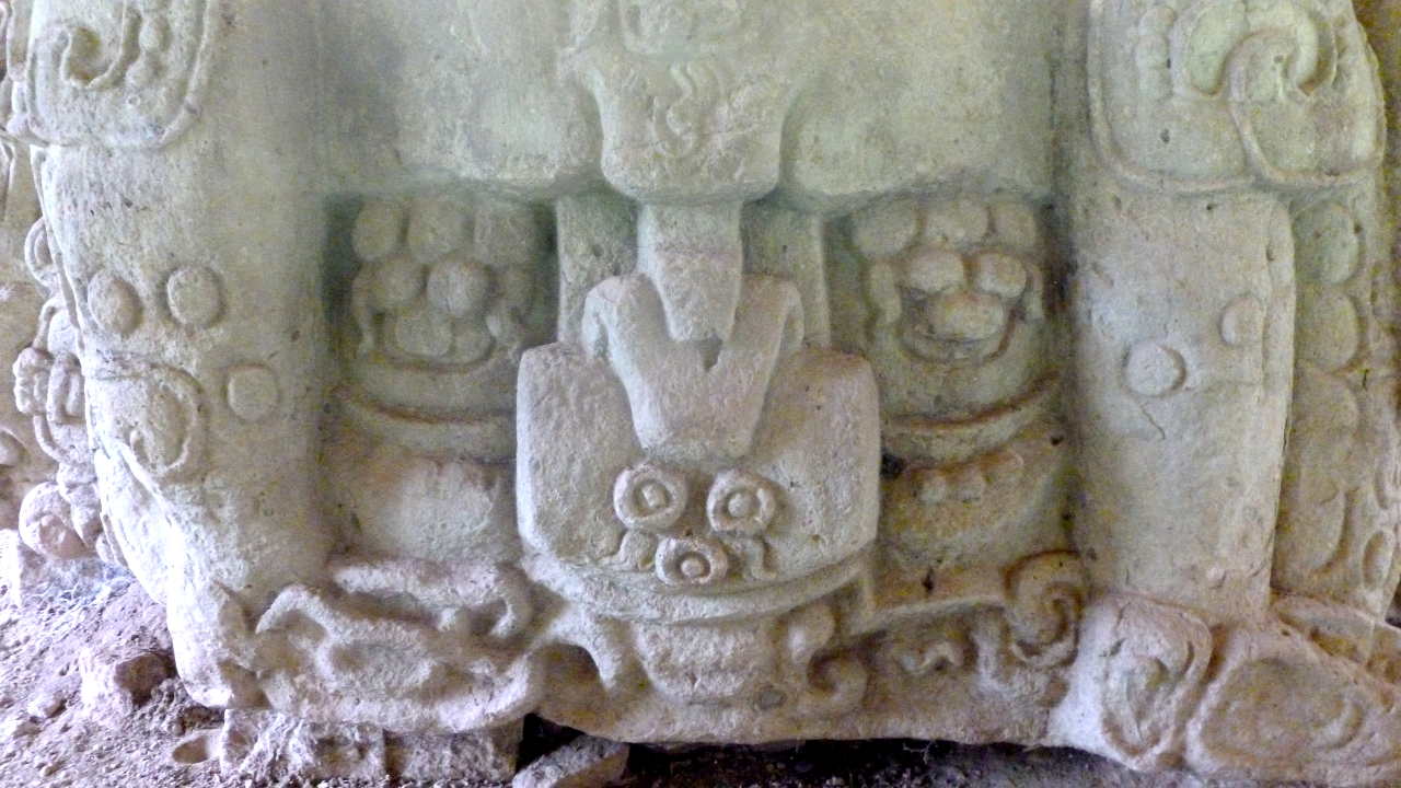 copan 11