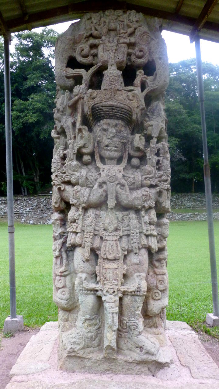 copan 12