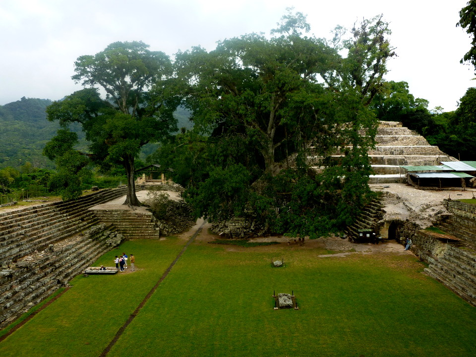 copan 19