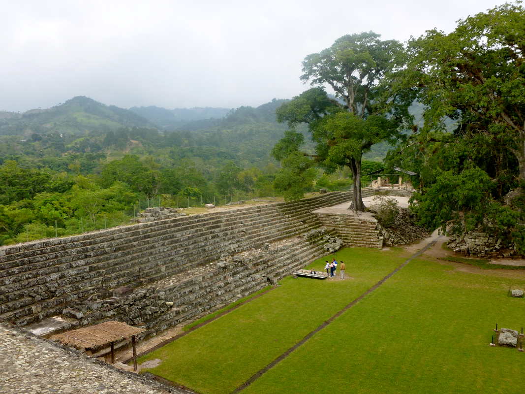 copan 6